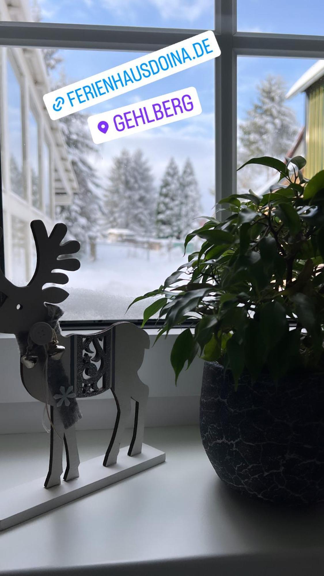 Ferienhaus Doina Gehlberg Екстериор снимка